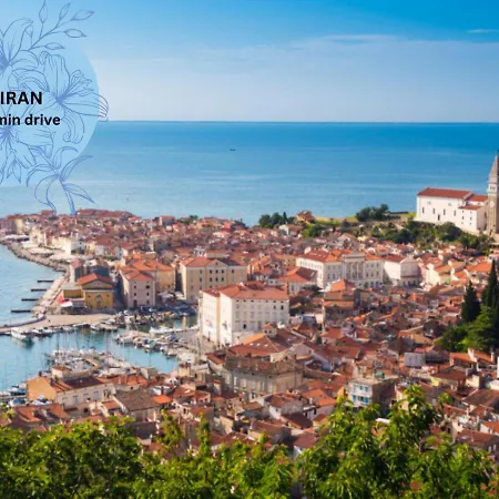 ホテル Rezidenca Ortus