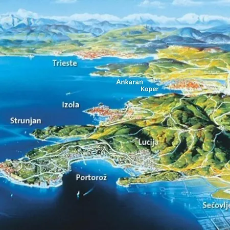 Rezidenca Ortus 3* アンカラン