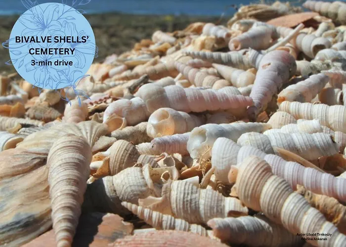 Hotel Rezidenca Ortus 3*